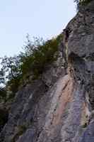 Fous - Jurassic Park 6b