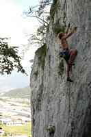 Fous - Megamostarda 6b