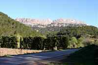 Jsou to takov� p�erostl� Su�ky