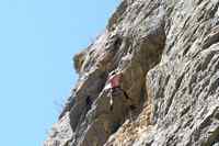 Maty v p�evisu Amelie Melodie 6a