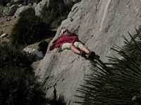 hlava t�e�t�, asi t� m�m r�d...